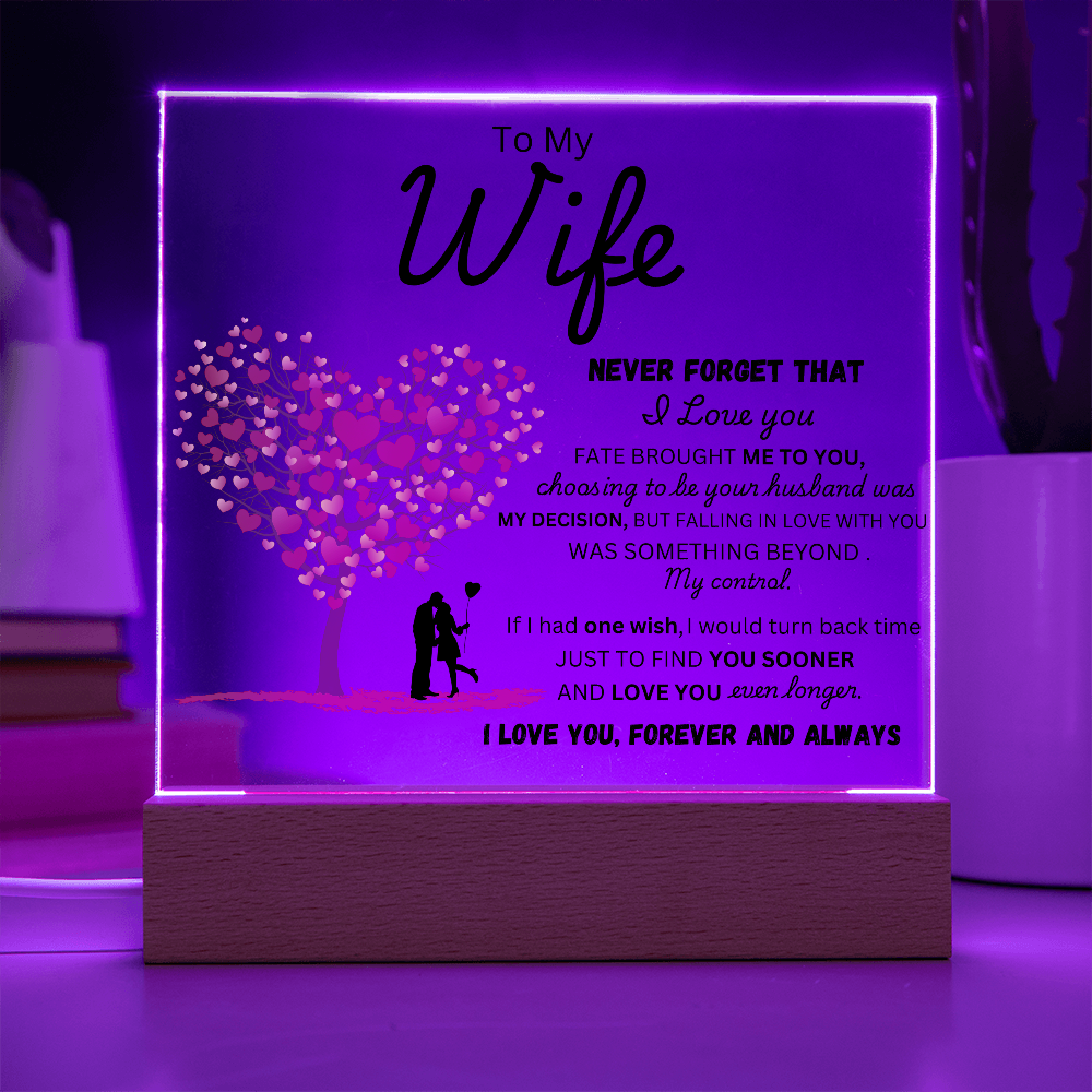 To My Wife - Finder You Sooner - Acrylic Plaque