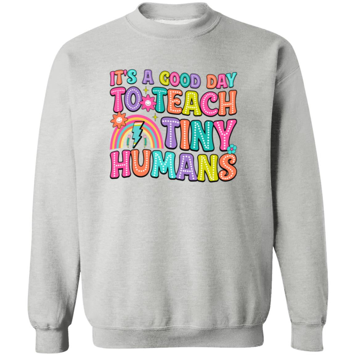Teach Tiny Humans Apparel