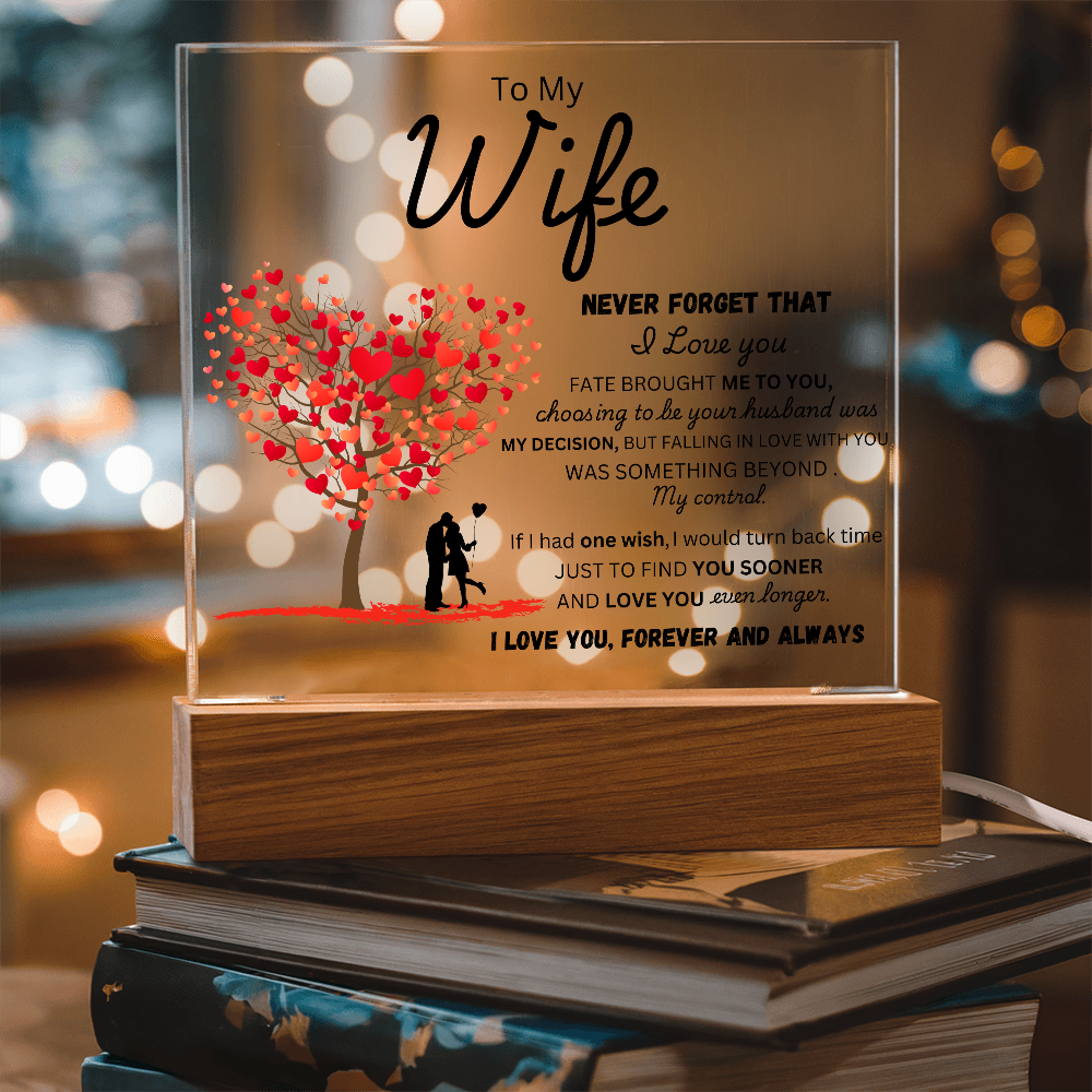 To My Wife - Finder You Sooner - Acrylic Plaque