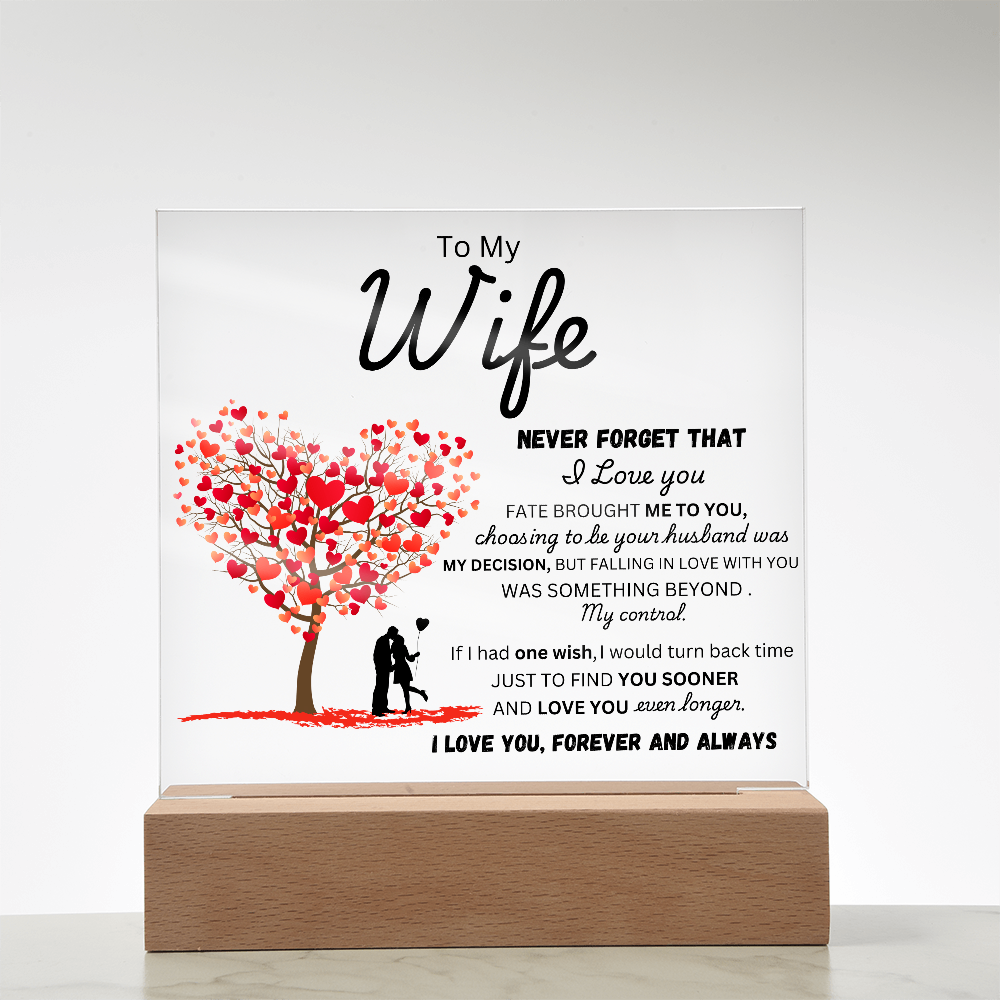 To My Wife - Finder You Sooner - Acrylic Plaque