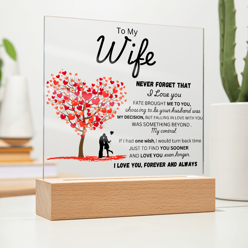 To My Wife - Finder You Sooner - Acrylic Plaque