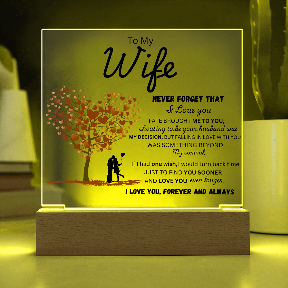 To My Wife - Finder You Sooner - Acrylic Plaque
